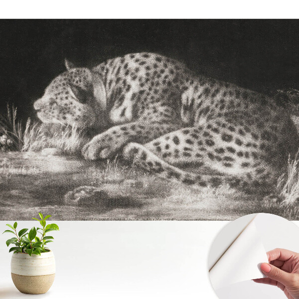 Dekor tapéta Egy leopárd pihen a fűben