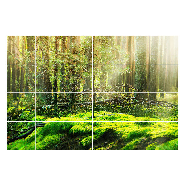 Öntapadós csempe matrica Zöld erdő mohával