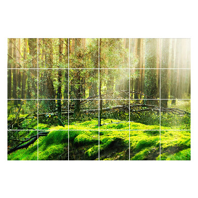 Öntapadós csempe matrica Zöld erdő mohával