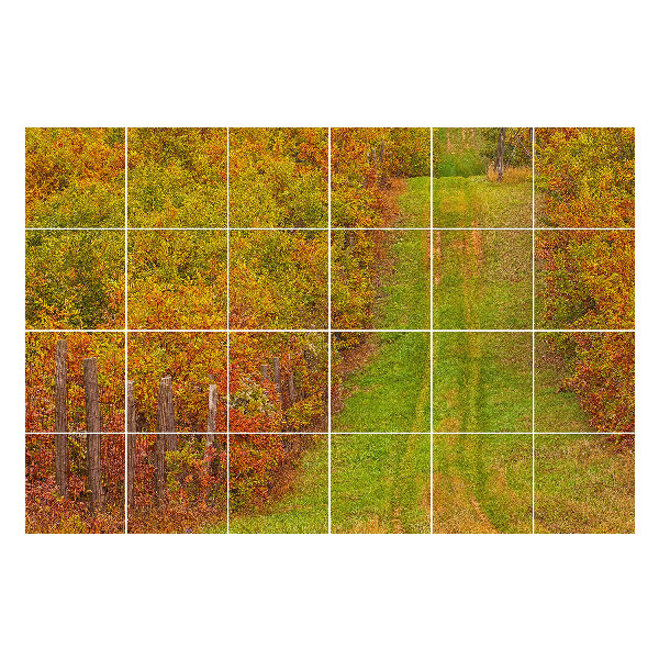 Öntapadós csempe matrica Őszi ösvény a természetben