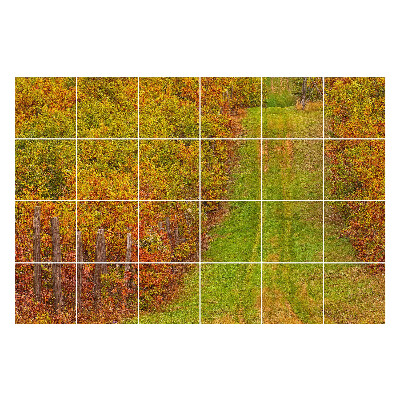 Öntapadós csempe matrica Őszi ösvény a természetben