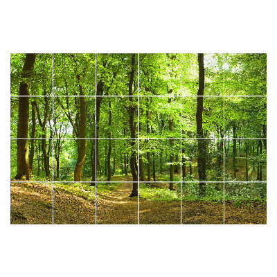 Öntapadós csempe matrica Zöld erdő sikátorral