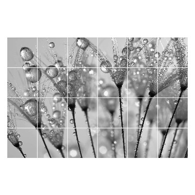 Csempe matrica Csepp a finom száron