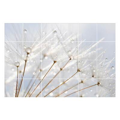 Öntapadós csempe matrica Cseppek a pitypang pelyhén