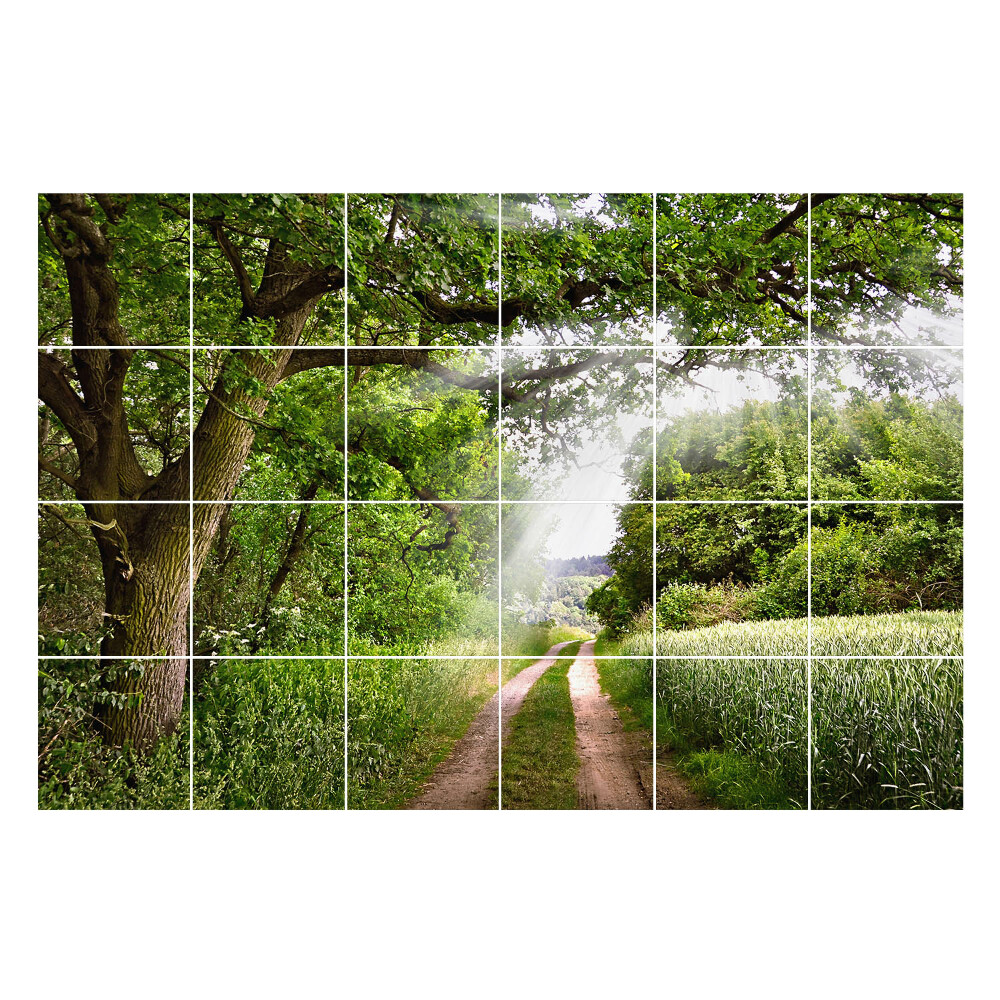 Öntapadós csempe matrica Zöld út az erdőben