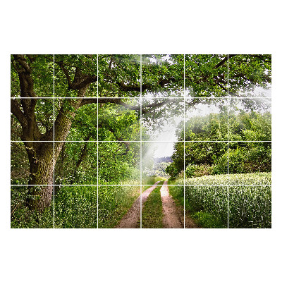 Öntapadós csempe matrica Zöld út az erdőben