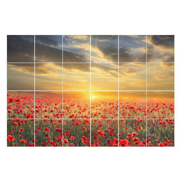 Öntapadós csempe matrica Virágos táj naplementekor