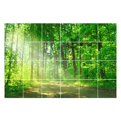 Öntapadós csempe matrica Erdei út a sugarakban