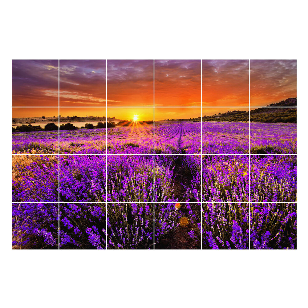 Csempe matrica Virágos táj naplementekor