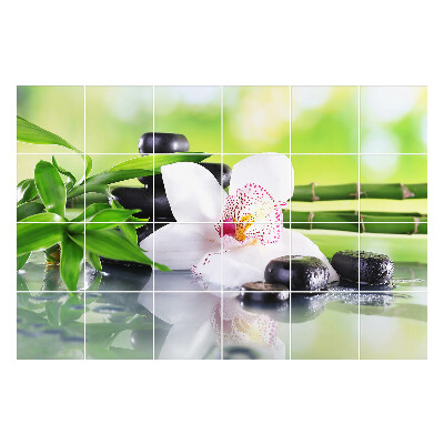 Csempe matrica Virágok és kövek harmóniában