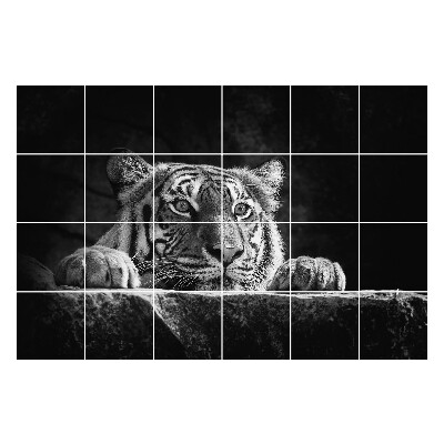 Öntapadós csempe matrica Közeli kép egy tigrisről
