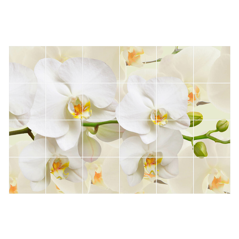 Csempe matrica Virágos orchidea motívumok