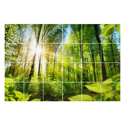 Csempe matrica Napsugarak az erdőben
