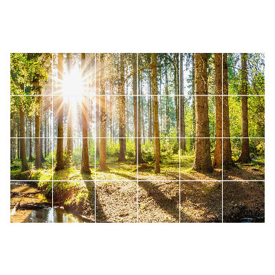 Csempe matrica Erdei táj sugarak