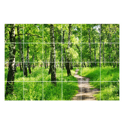 Öntapadós csempe matrica Erdei ösvény a természetben