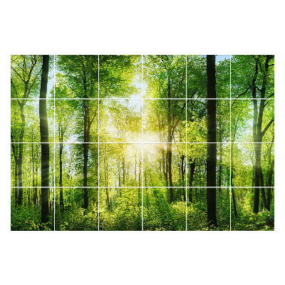 Csempe matrica Zöld erdő sugaraival