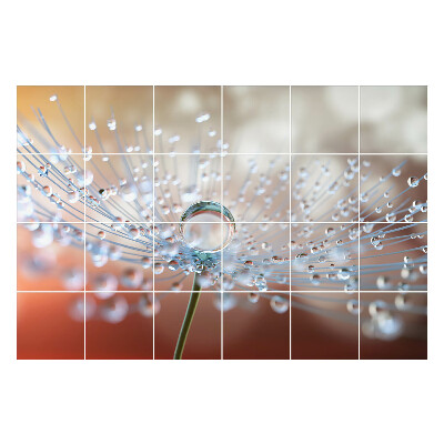 Öntapadós csempe matrica Finom hajtásra esik