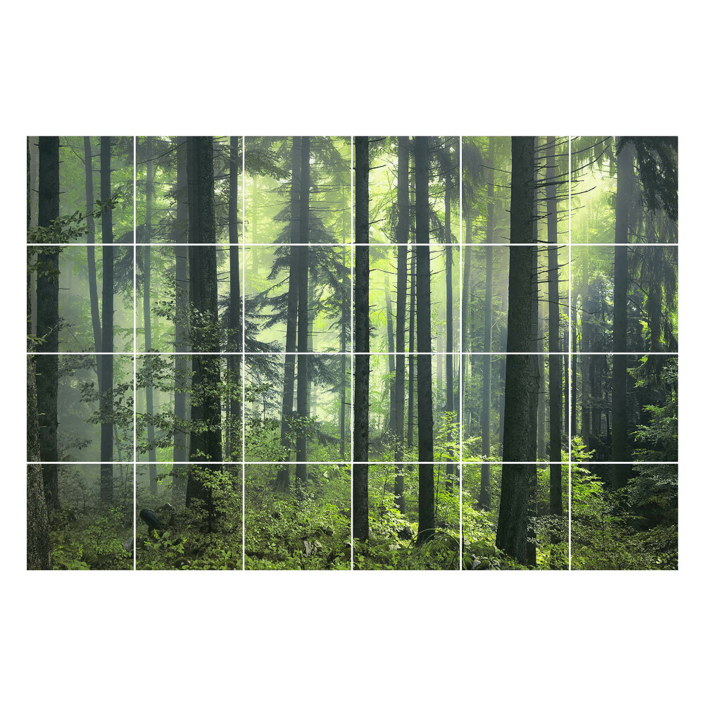 Öntapadós csempe matrica Sűrű erdő köddel
