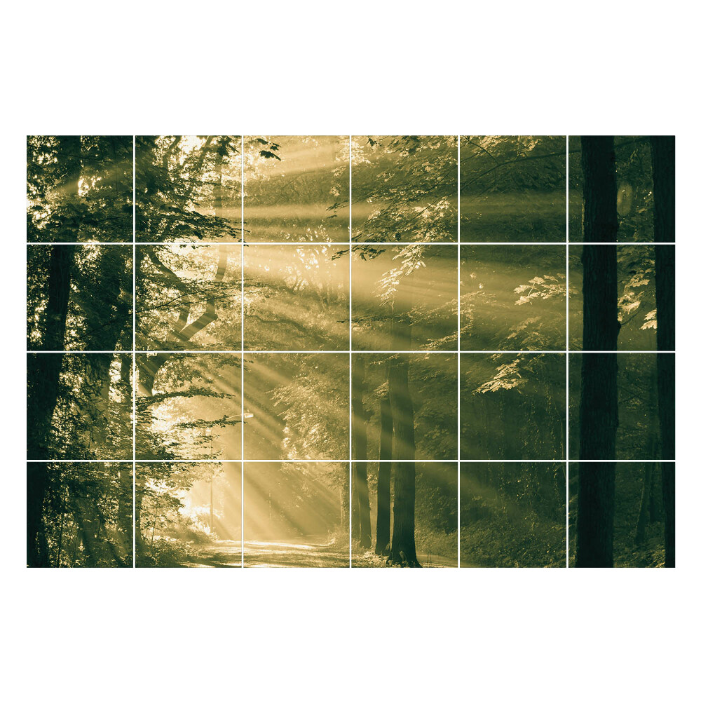 Öntapadós csempe matrica Fénysugarak az erdőben