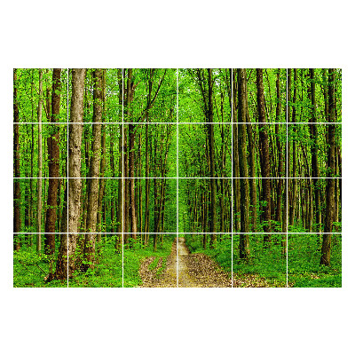 Öntapadós csempe matrica Zöld erdei ösvény