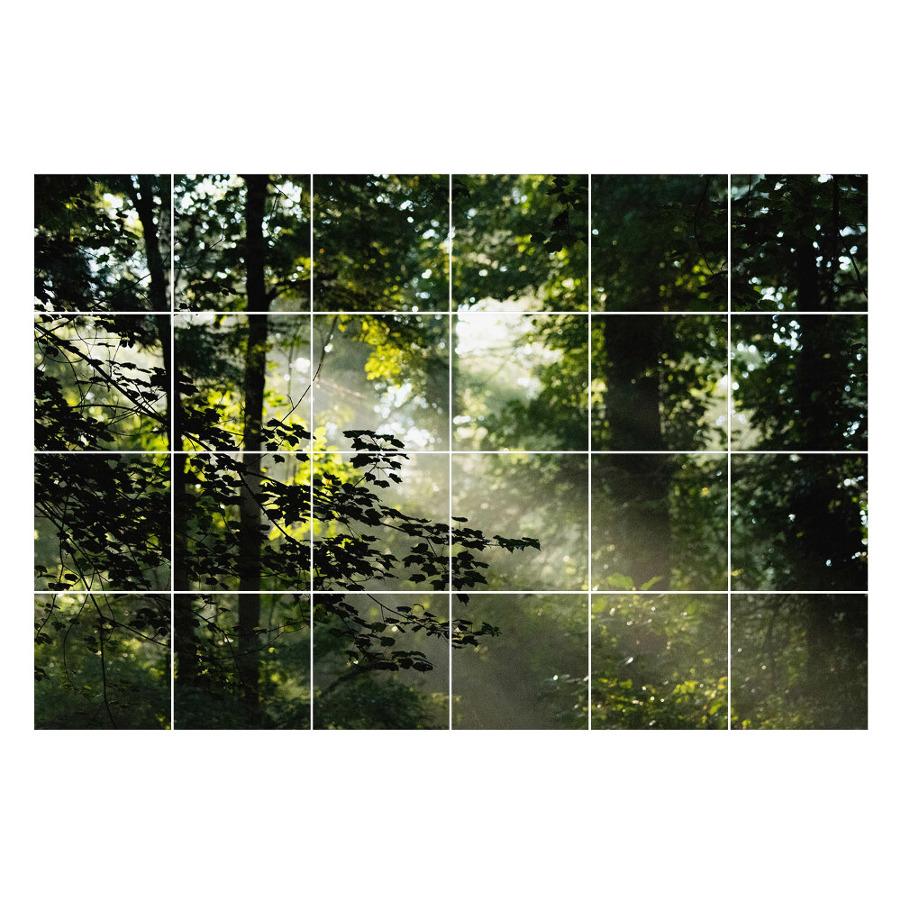 Csempe matrica Fénysugarak az erdőben