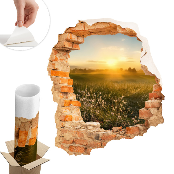 3D falmatrica lyuk 51x60 Napos rét