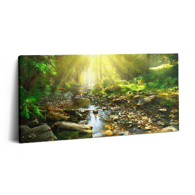 Vászonfotó 100x50 Erdei patak a napfényben