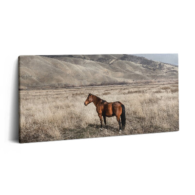 Vászonfotó 100x50 Ménes a fű között