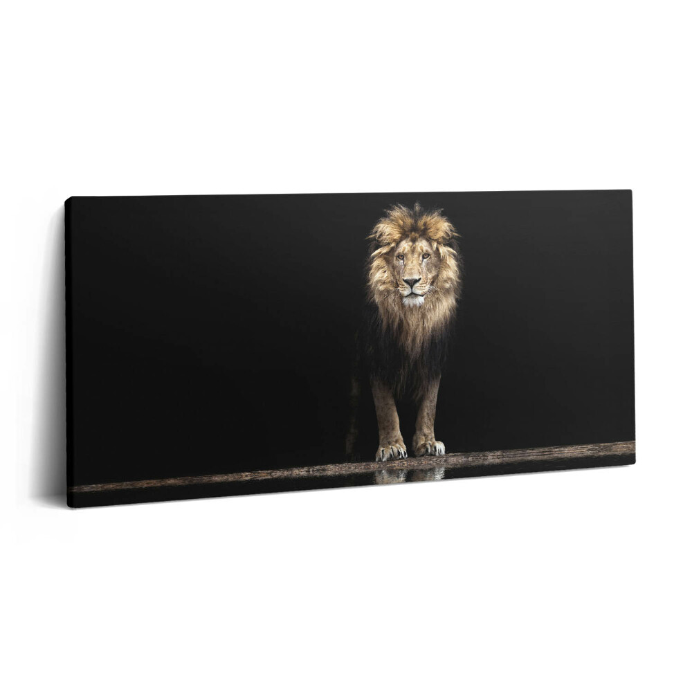 Vászonfotó 100x50 Magányos vadállat oroszlán