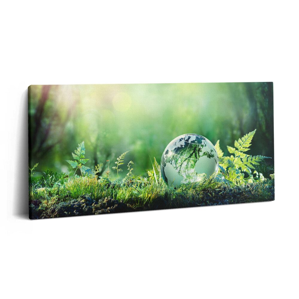 Vászonfotó 100x50 Földgömb a fűben