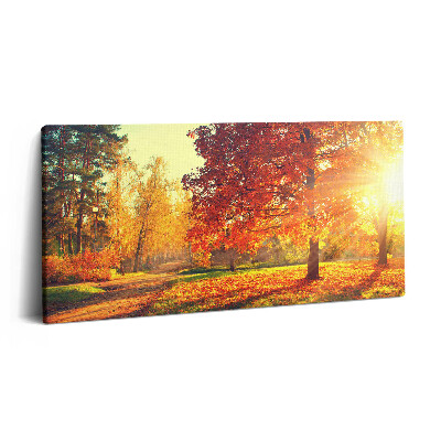 Vászonfotó 100x50 Őszi park
