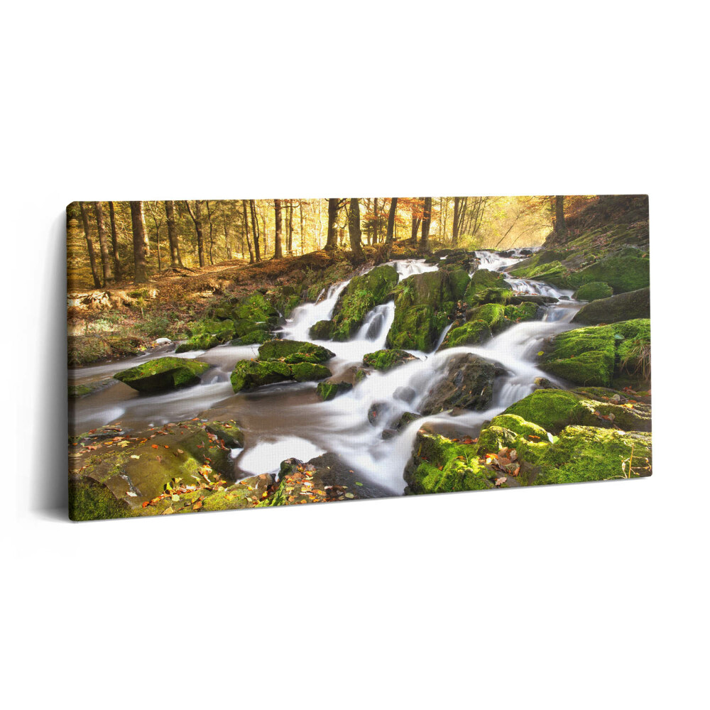 Vászonfotó 100x50 Patak az őszi erdőben