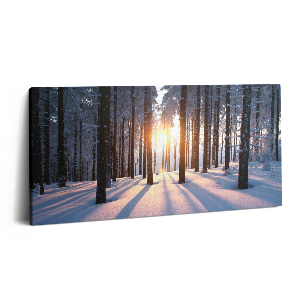 Vászonfotó 100x50 Naplemente és erdő télen