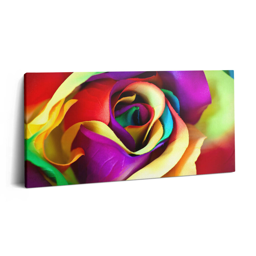 Vászonfotó 100x50 Szivárványos rózsa