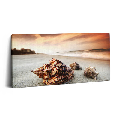 Vászonfotó 100x50 Kagylók a tengerparton