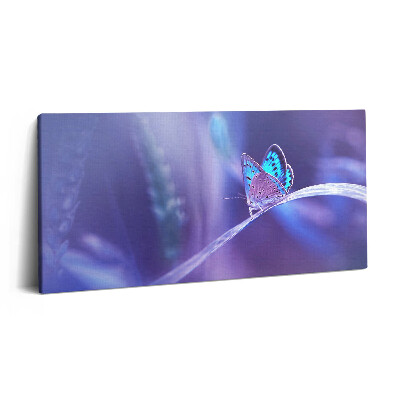 Vászonfotó 100x50 Pillangó a fűben