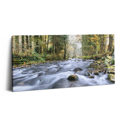 Vászonfotó 100x50 Hegyi patak