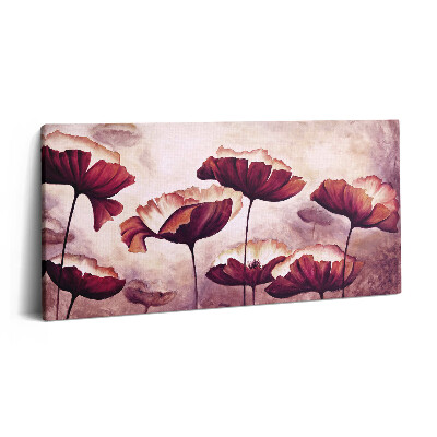 Vászonfotó 100x50 Virágzó mákvirágok