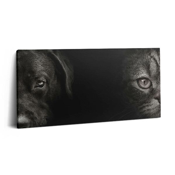 Vászonfotó 100x50 Labrador kutya és skót macska