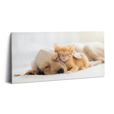 Vászonfotó 100x50 Alvó állatok macska és kutya
