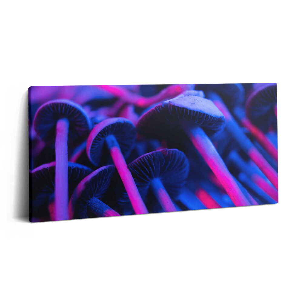 Vászonfotó 100x50 Színes varázsgomba