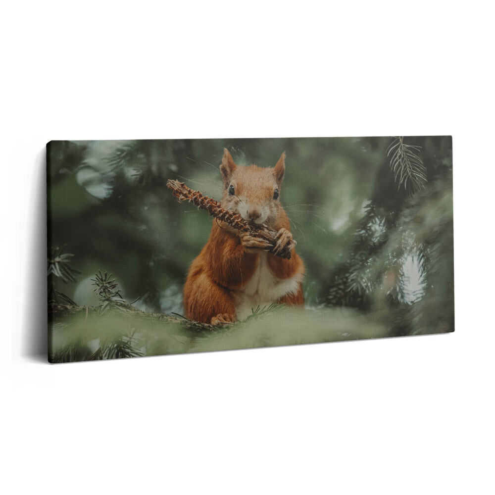 Vászonfotó 100x50 Vadon élő mókus