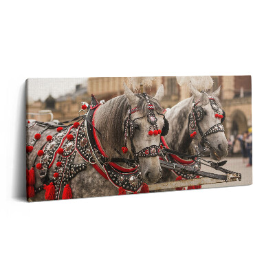 Vászonfotó 100x50 Gyönyörű lovak Krakkóban
