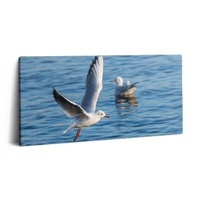 Vászonfotó 100x50 Sirályok Gdyniában