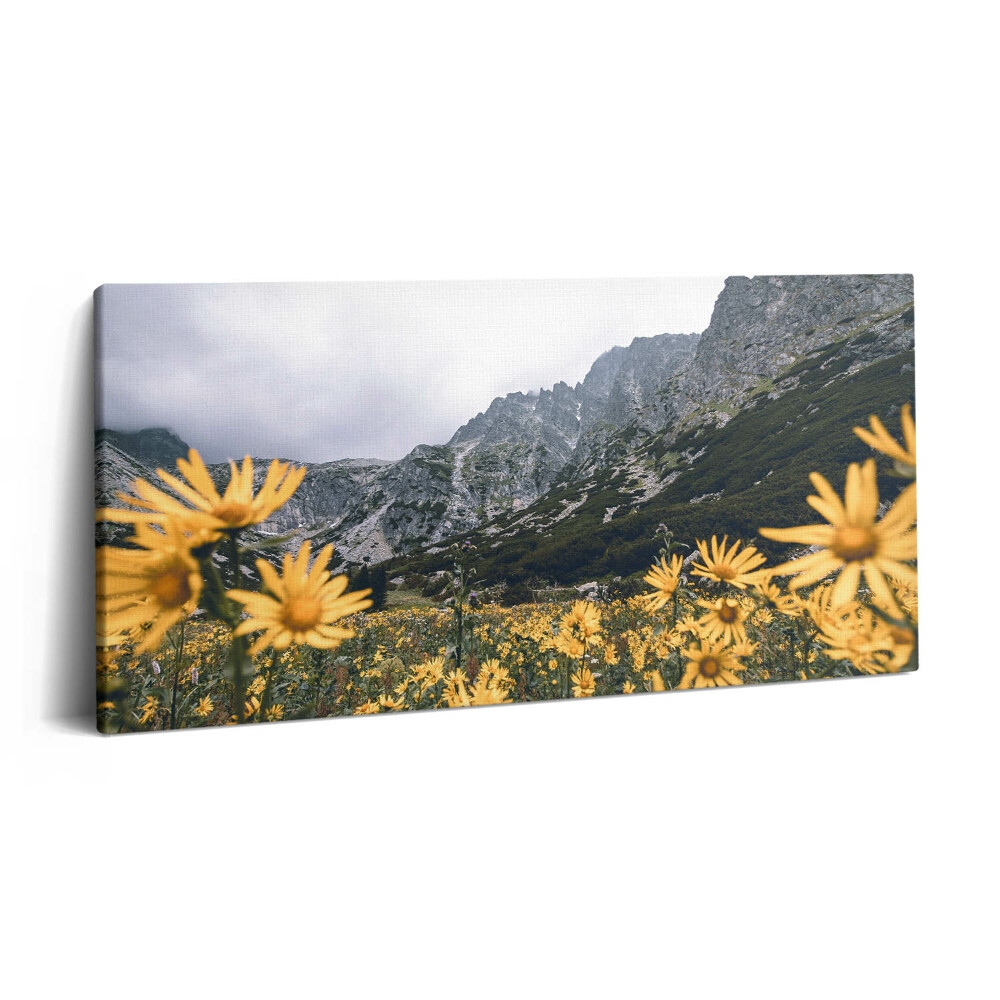 Vászonfotó 100x50 Virágos rét a Tátrában