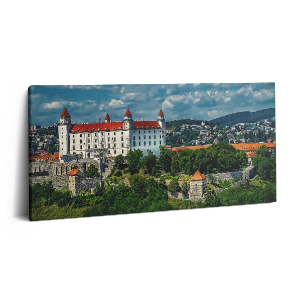 Vászonfotó 100x50 Pozsonyi vár