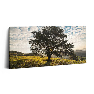 Vászonfotó 100x50 Lombos fa egy dombon
