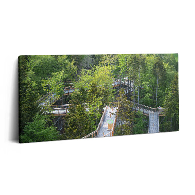 Vászonfotó 100x50 Ösvény Krynica Zdrojban