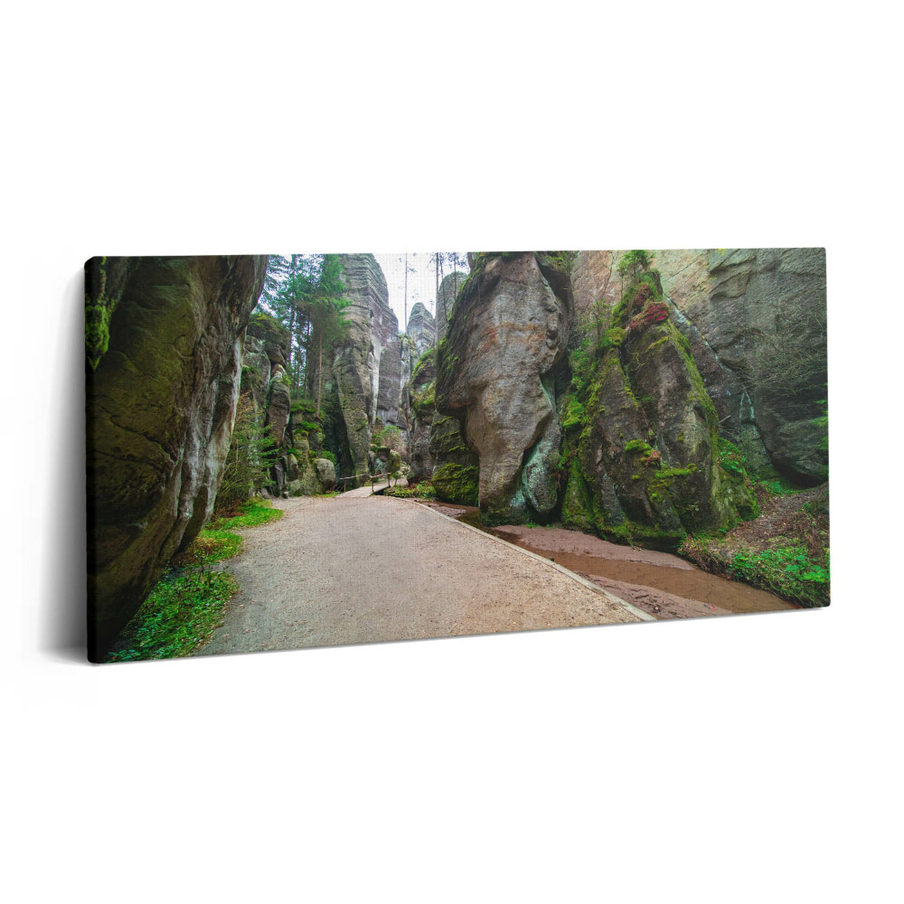 Vászonfotó 100x50 Sziklaváros a Cseh Köztársaságban