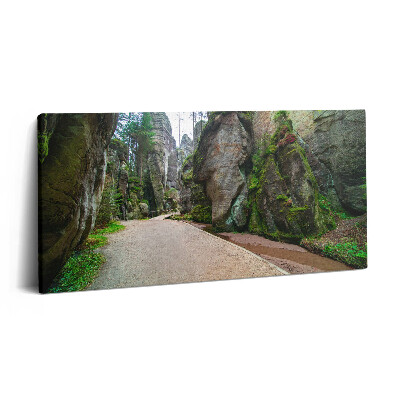 Vászonfotó 100x50 Sziklaváros a Cseh Köztársaságban